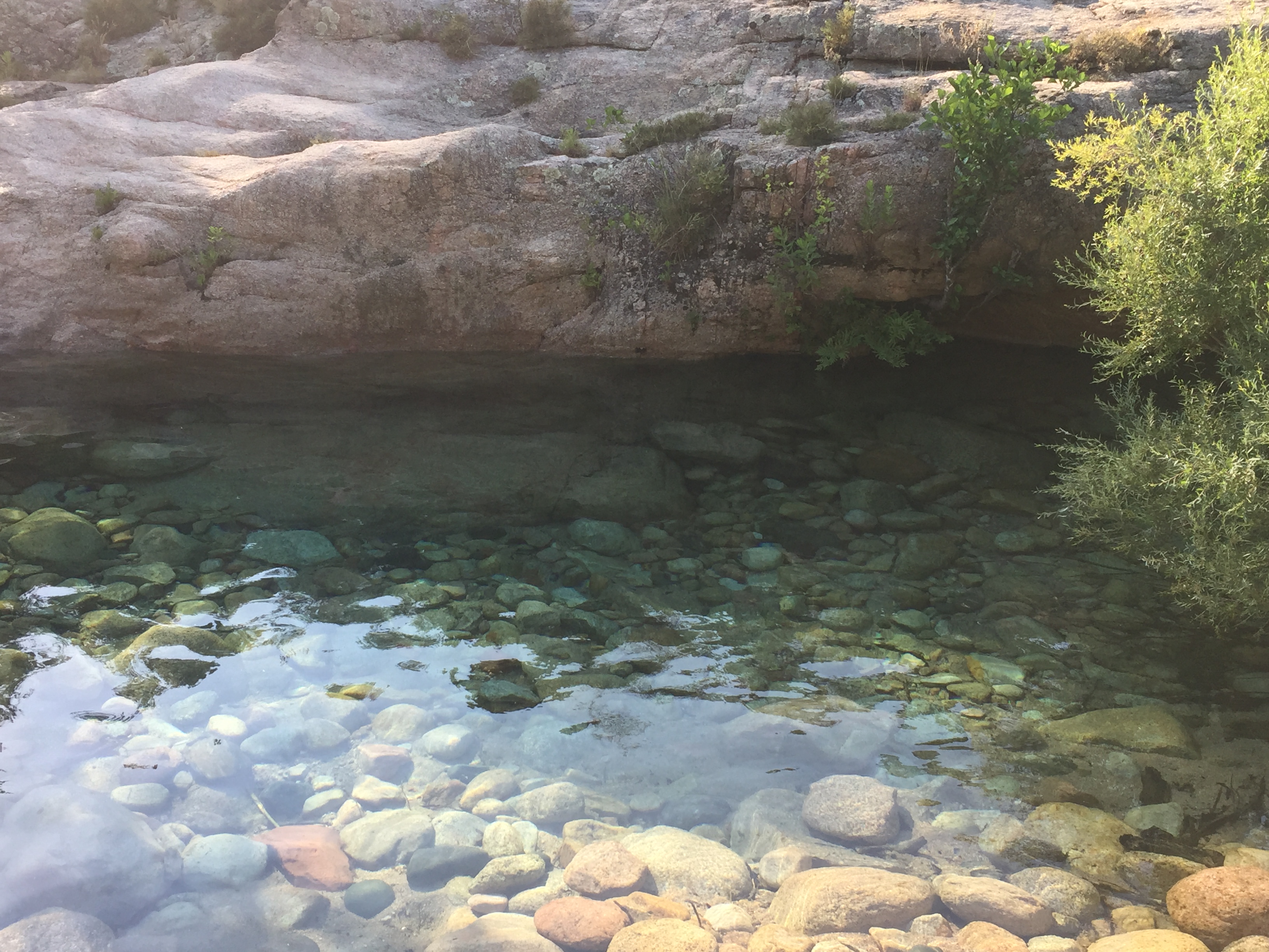 Photo n° 5 de l'avis de Laure.a fait le 31/07/2019 à 12:58