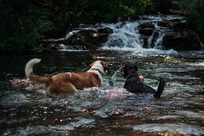 Canadian Mountain Pet Wear