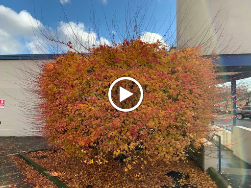 Thrift Store «Goodwill», reviews and photos, 6400 8th Ave NW, Seattle, WA 98107, USA