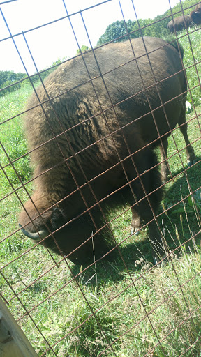 Golf Course «Hodge Park Golf Course», reviews and photos, 7000 NE Barry Rd, Kansas City, MO 64156, USA