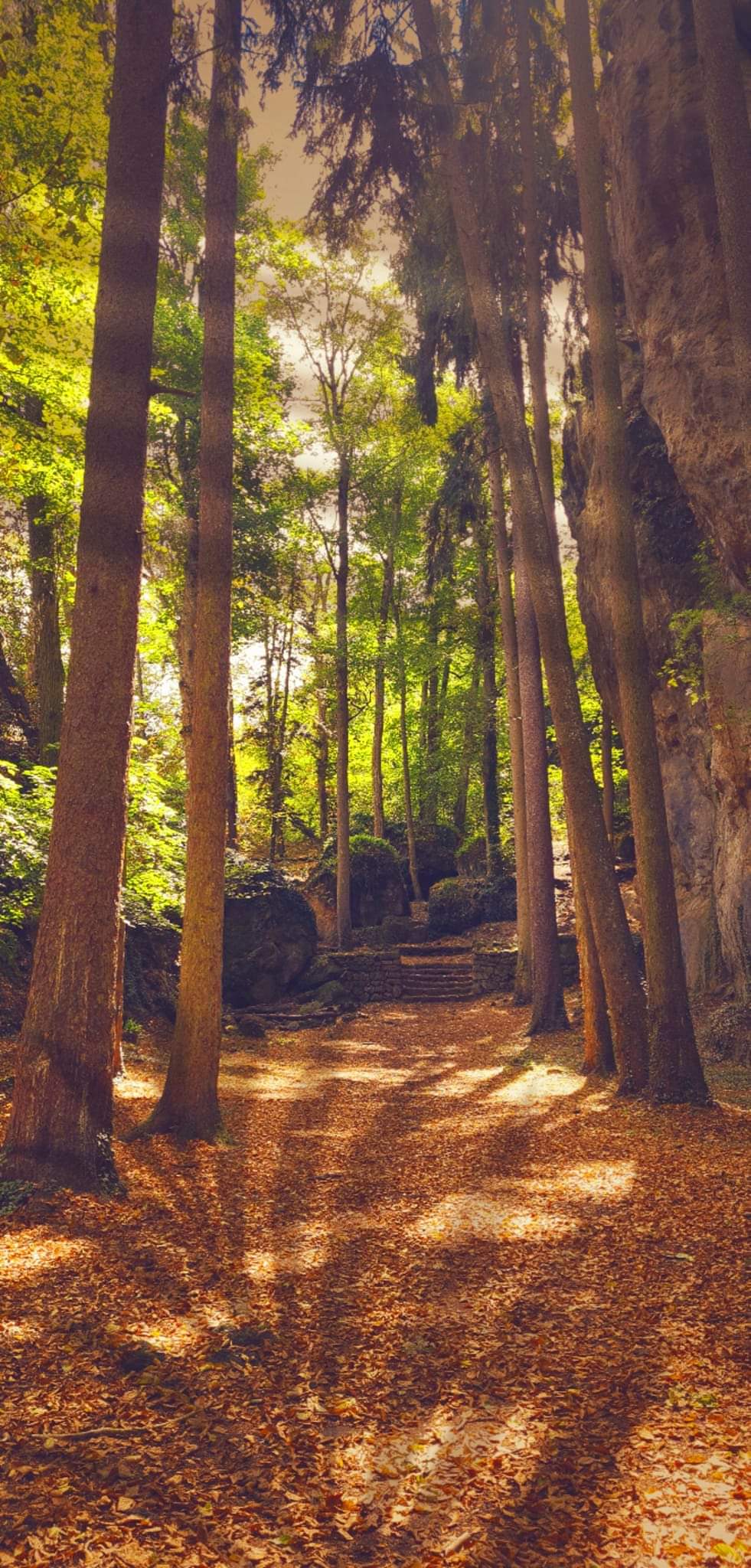 Photo n° 1 de l'avis de doudoune.l fait le 22/08/2022 à 16:38
