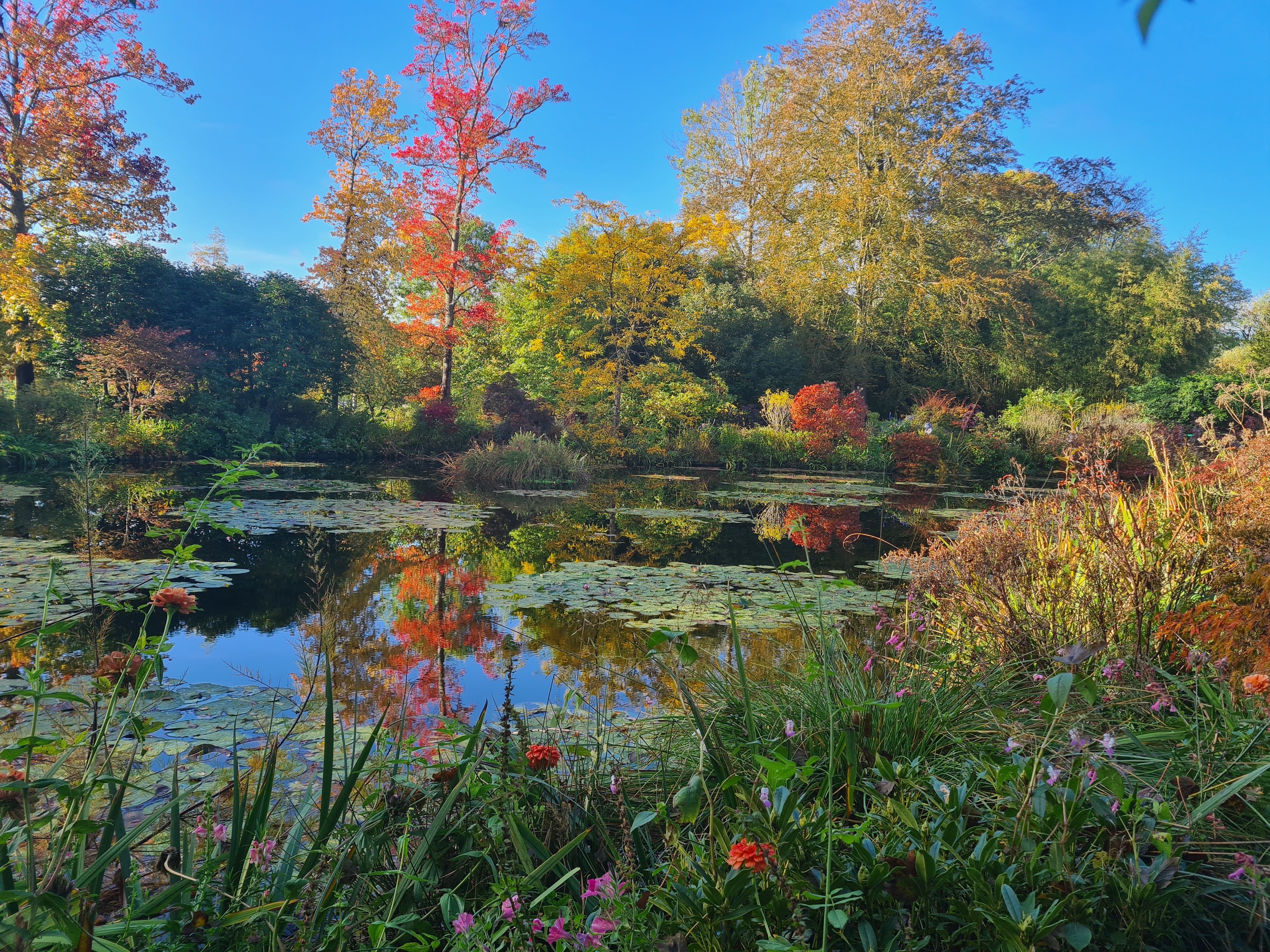 Photo n° 5 de l'avis de Rika.a fait le 12/11/2023 à 21:55
