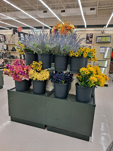 Craft Store «Hobby Lobby», reviews and photos, 255 Lakeshore Pkwy, Homewood, AL 35209, USA