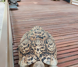 Reptiles Park Gembira Loka Zoo photo