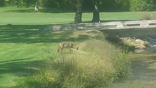 Private Golf Course «Legend Lake Golf Club», reviews and photos, 11135 Auburn Rd, Chardon, OH 44024, USA