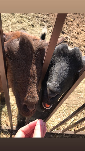 Horseback Riding Service «Spur Cross Stables», reviews and photos, 44029 N Spur Cross Rd, Cave Creek, AZ 85331, USA
