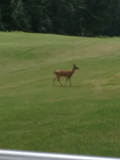 Golf Course «Coweta Club», reviews and photos, 300 Arbor Springs Pkwy, Newnan, GA 30265, USA