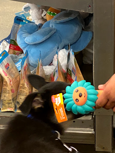 Pet Supply Store «Petco Animal Supplies», reviews and photos, 3430 W State St, Grand Island, NE 68803, USA