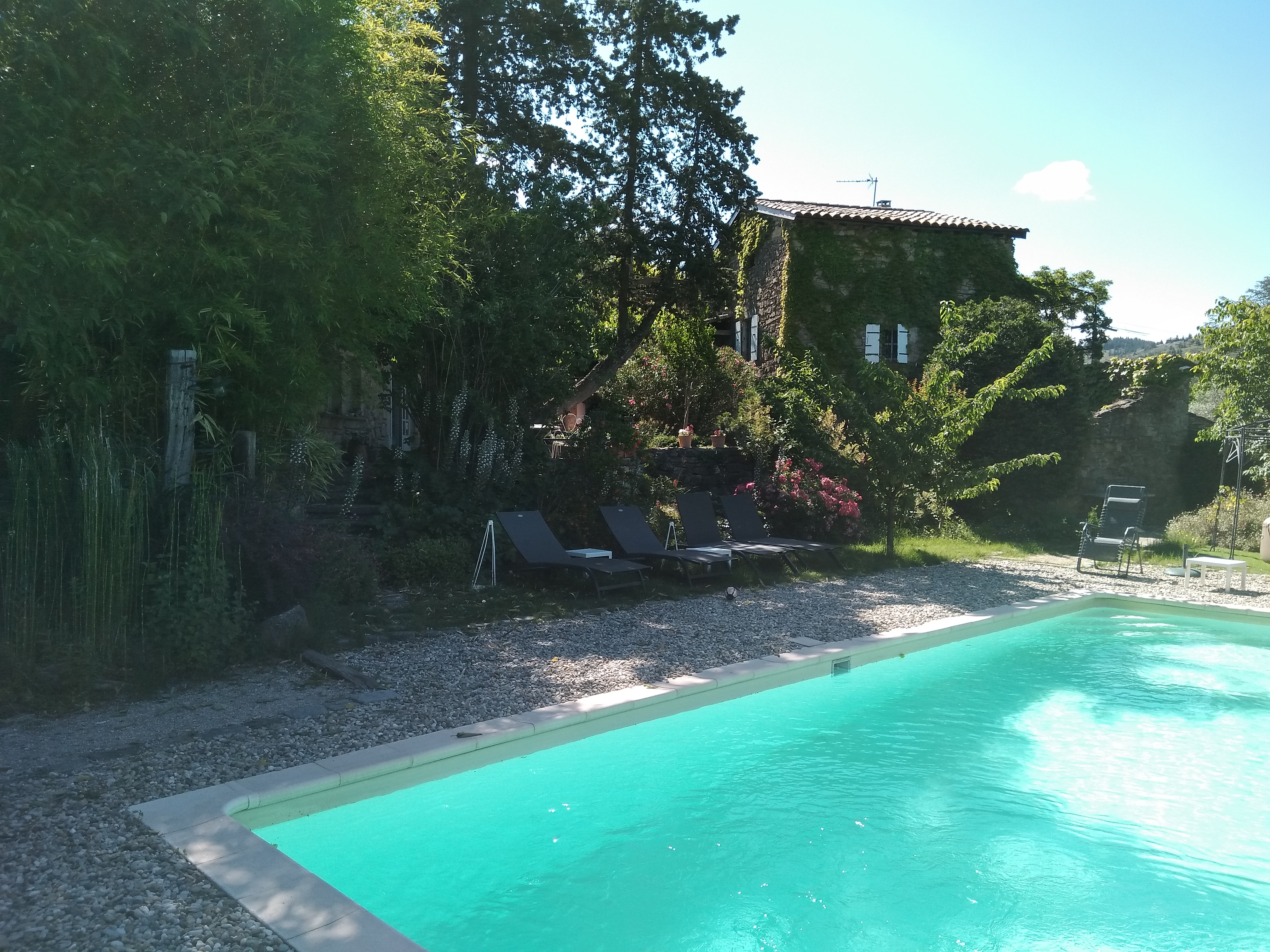Photo n° 3 de l'avis de Patrick.o fait le 17/06/2020 à 09:00