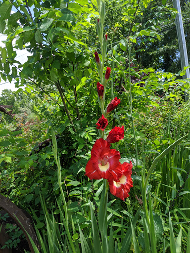 Hardware Store «Intown Ace Hardware», reviews and photos, 1404 Scott Blvd, Decatur, GA 30030, USA