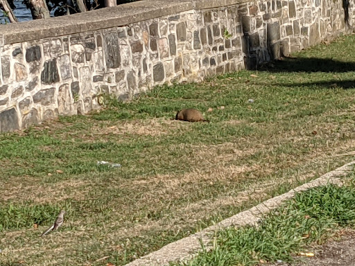 Park «Fort Totten Park», reviews and photos, Totten Ave & 15 Rd, Bayside, NY 11359, USA