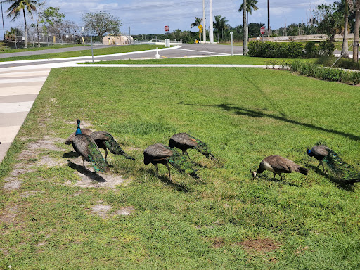 Wildlife Park «Everglades Holiday Park», reviews and photos, 21940 Griffin Rd, Fort Lauderdale, FL 33332, USA