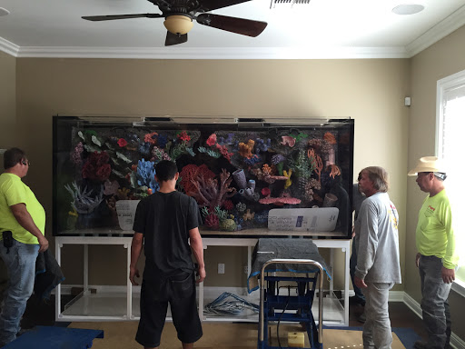 Aquarium «Artistic Aquariums, Inc», reviews and photos, 3400 N Arizona Ave #111, Chandler, AZ 85225, USA