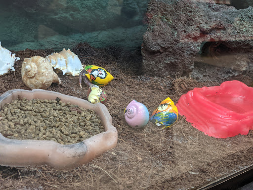 Pet Supply Store «Petco Animal Supplies», reviews and photos, 177 W Ventura Blvd, Camarillo, CA 93010, USA