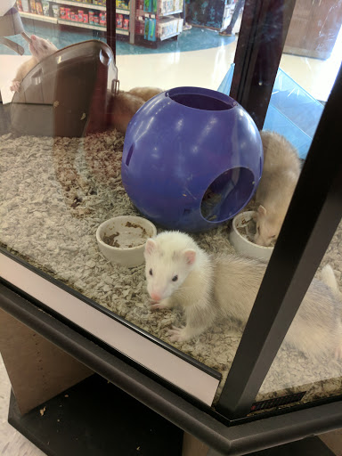 Pet Supply Store «Petco Animal Supplies», reviews and photos, 1933 South Rd, Poughkeepsie, NY 12601, USA