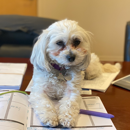 Insurance Agency «Farmers Insurance - Mike Schmisek», reviews and photos