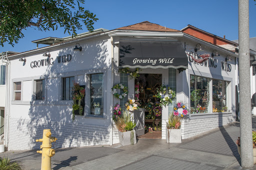 Growing Wild, 1201 Highland Ave, Manhattan Beach, CA 90266, USA, 