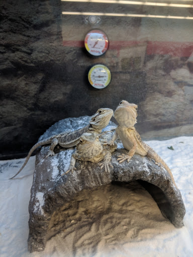 Pet Supply Store «Petco Animal Supplies», reviews and photos, 6425 Keizer Station Blvd, Keizer, OR 97303, USA