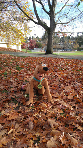 Community Center «Magnolia Community Center», reviews and photos, 2550 34th Ave W, Seattle, WA 98199, USA