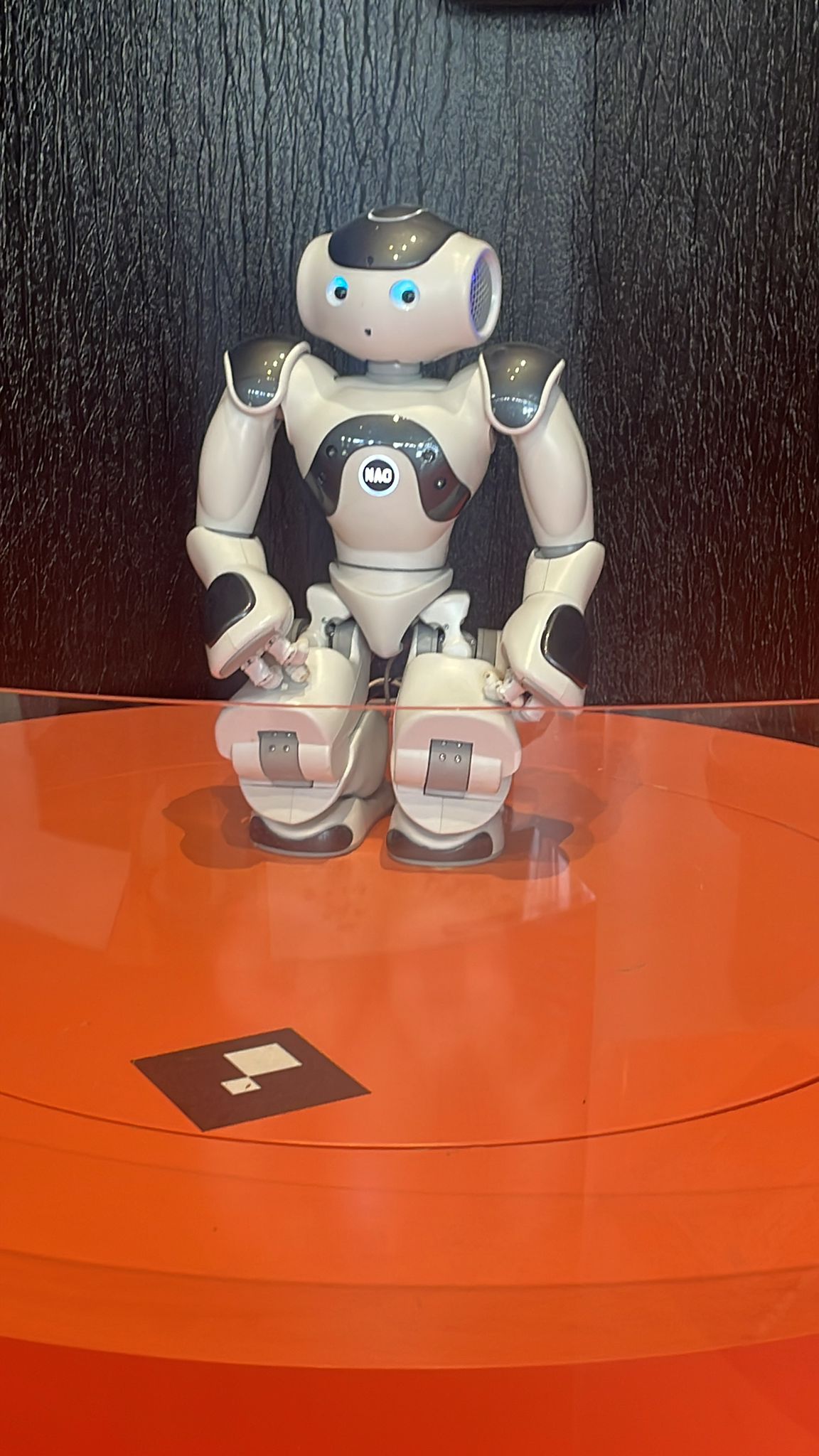 Photo n° 1 de l'avis de Pauline.E. fait le 18/03/2024 à 19:21