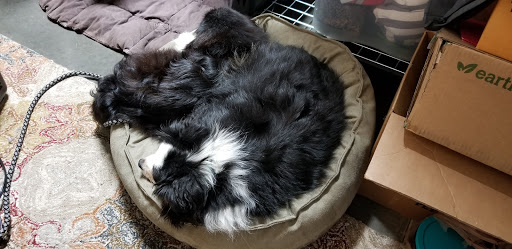 Pet Supply Store «Wilsonville- Natures Pet», reviews and photos, 9740 SW Wilsonville Rd #210, Wilsonville, OR 97070, USA