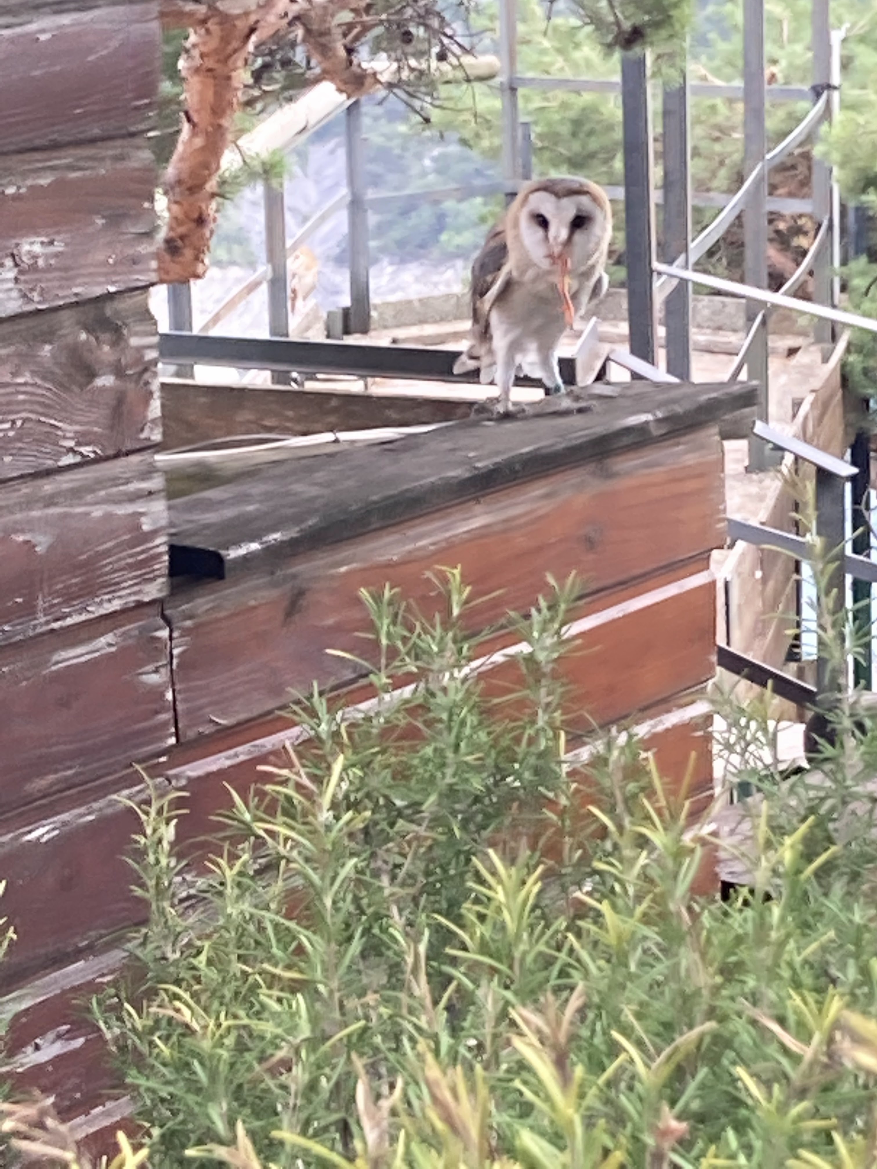 Photo n° 18 de l'avis de Laurianne.o fait le 26/08/2022 à 16:16