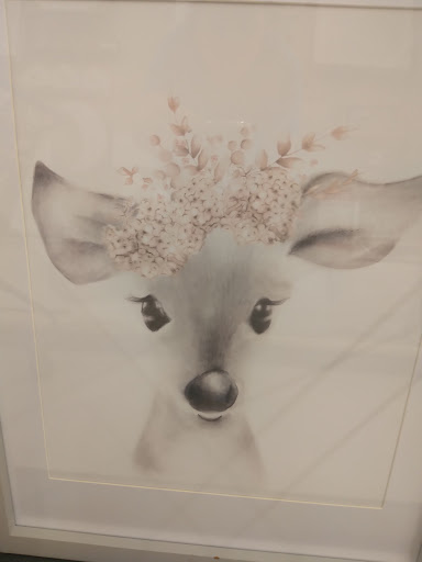 Craft Store «Hobby Lobby», reviews and photos, 6101 Calhoun Memorial Hwy q, Easley, SC 29640, USA