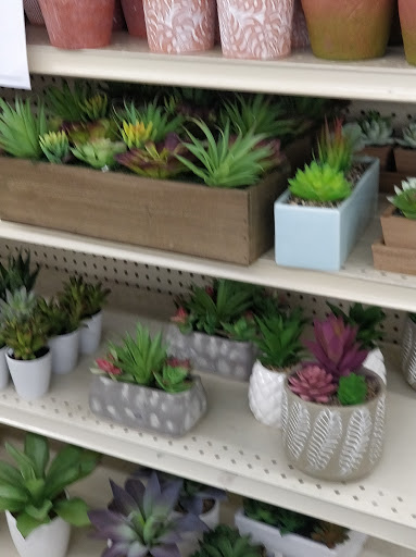 Discount Store «Big Lots», reviews and photos, 3620 W 3rd St, Bloomington, IN 47404, USA