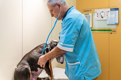 Clinique Vétérinaire Argos à Lyon