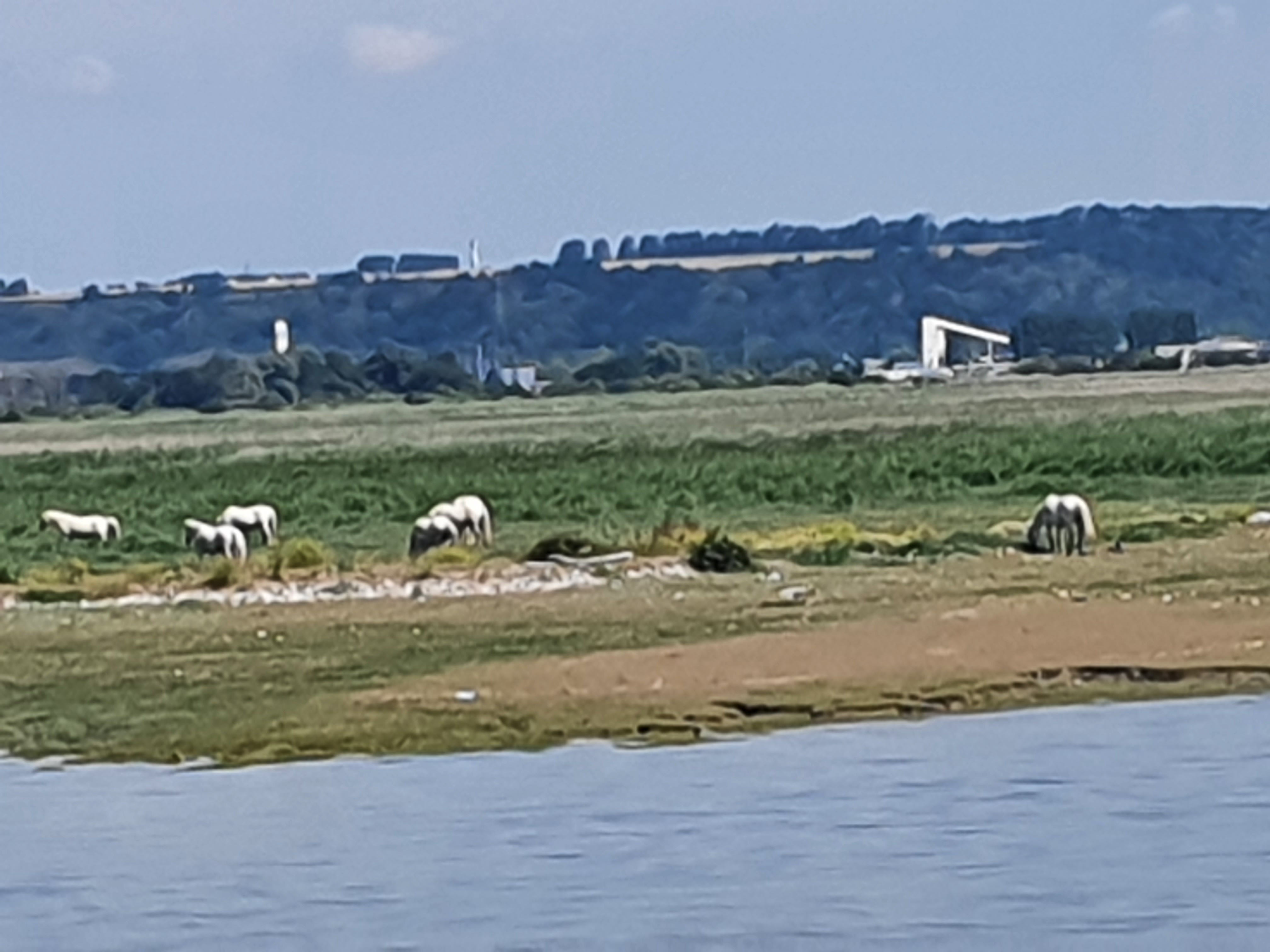 Photo n° 3 de l'avis de malek.o fait le 12/08/2022 à 22:48