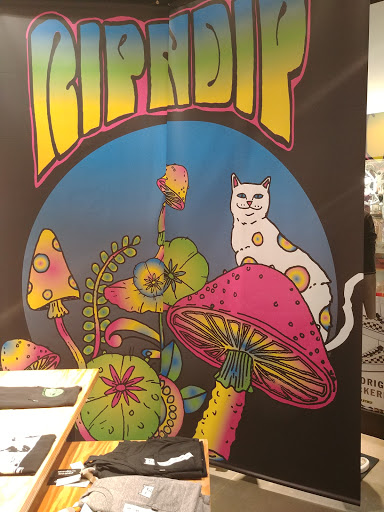 Clothing Store «Zumiez», reviews and photos, 5900 Sugarloaf Pkwy #509, Lawrenceville, GA 30043, USA