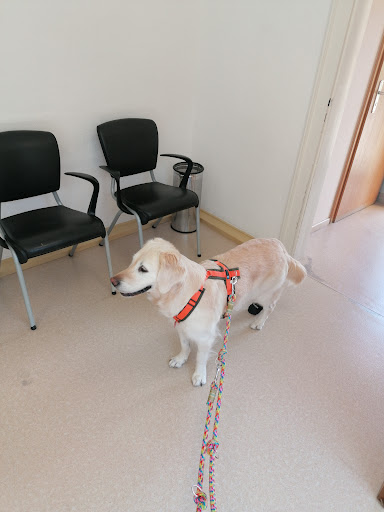 Dr.med.vet. Martin Schweizer unter Wolfsburg, Niedersachsen