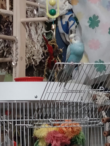 Pet Store «Animal Ark», reviews and photos, 175 S 500 E St, American Fork, UT 84003, USA