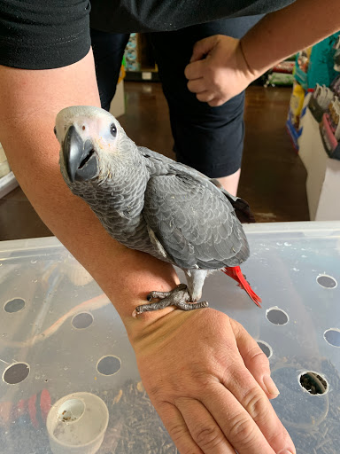 Pet Store «Carters Pet Mart», reviews and photos, 510 N Main St, Manteca, CA 95336, USA