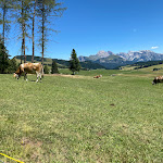 Photo n°5 de l'avis de Vladimir.t fait le 14/08/2022 à 11:02 sur le  Baita Tuene à Kastelruth