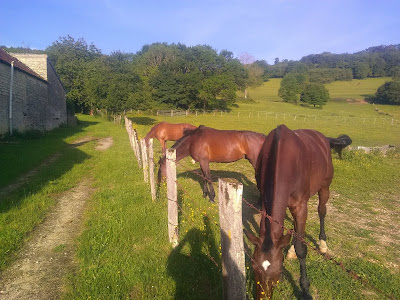 Ferme de Beaumotte à Agey