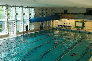 Akwarium Indoor Swimming Pool image