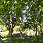 Photo n° 3 de l'avis de Noléli.2 fait le 10/08/2022 à 20:24 pour Jardin des Sources à Saint-Martin-le-Gaillard