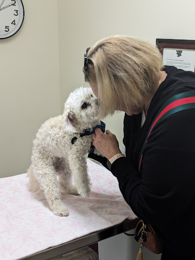 Stroud Veterinary Hospital image