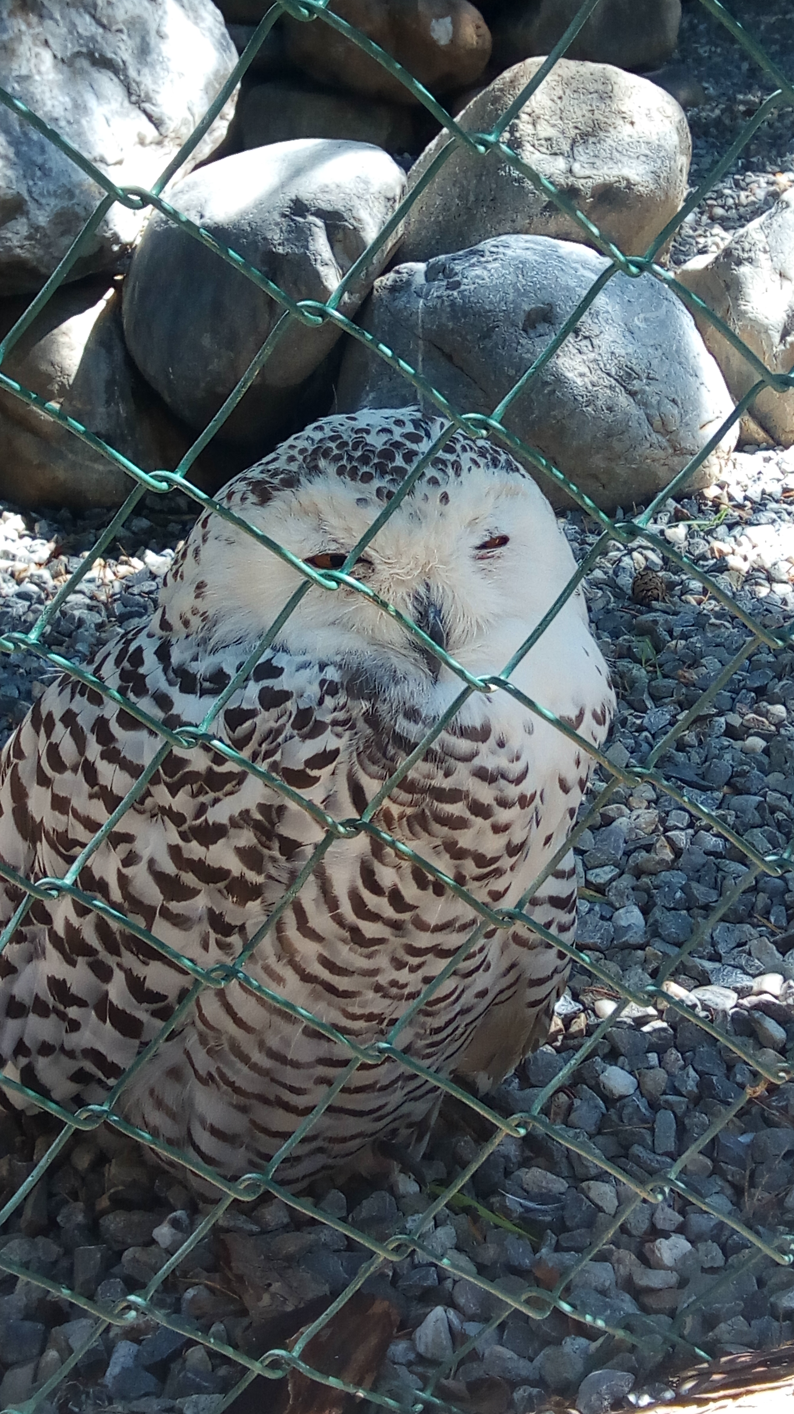 Photo n° 5 de l'avis de Pierre.c fait le 30/08/2018 à 07:16