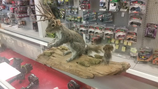 Archery Store «Flying Arrow Sports», reviews and photos, 92 Old Route 6 # 3, Carmel, NY 10512, USA