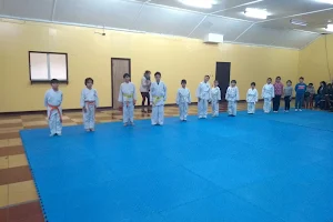 Dojo Aka, Karate-Do image