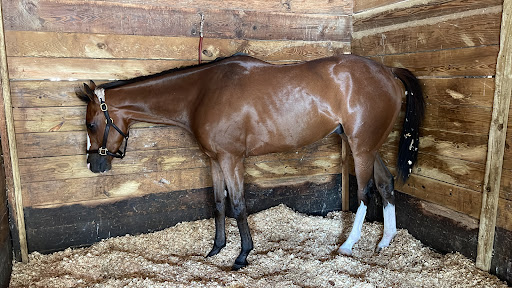 Racecourse «Gulfstream Park Racing and Casino», reviews and photos, 901 S Federal Hwy, Hallandale Beach, FL 33009, USA