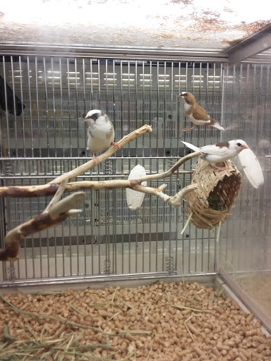 Pet Supply Store «PetSmart», reviews and photos, 24965 Pico Canyon Rd, Stevenson Ranch, CA 91381, USA