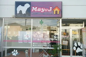 May & J Pet Shop image