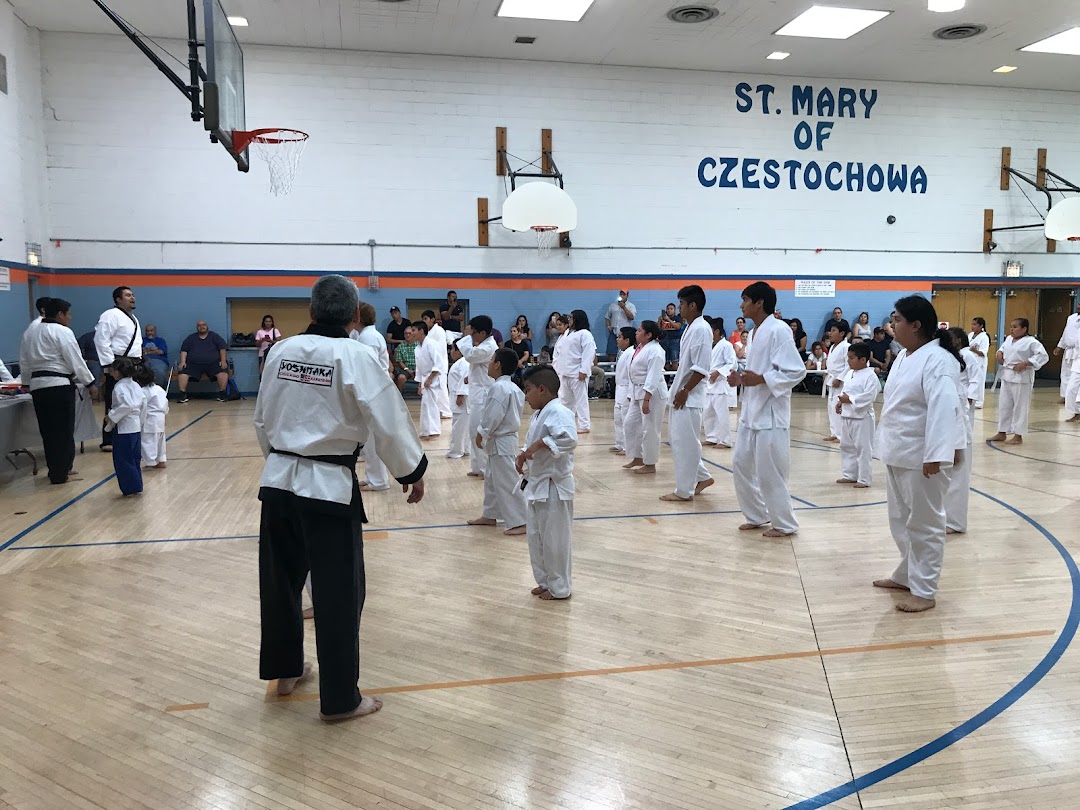 Karate school chicago