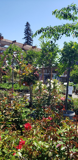 Building Materials Store «ProBuild», reviews and photos, 235 River St, Santa Cruz, CA 95060, USA