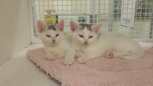 Pet Supply Store «Petco Animal Supplies», reviews and photos, 38069 Town Center Dr #222, Millville, DE 19967, USA