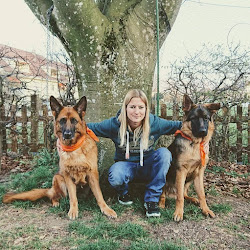 Hundeschule Phoenixson Denise Jeanmaire