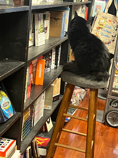 Recycle Bookstore image
